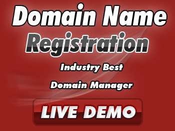 Budget domain registration service providers